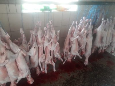 Vindem cărniță de miel