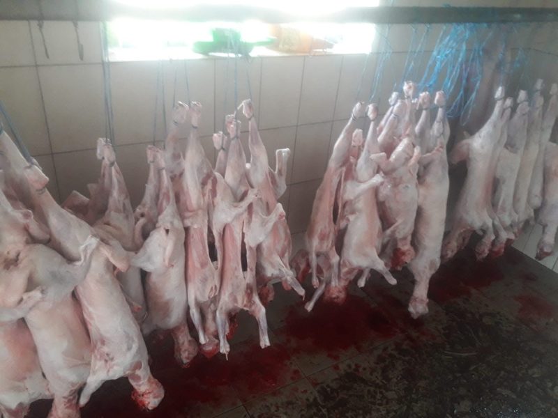 Vindem cărniță de miel