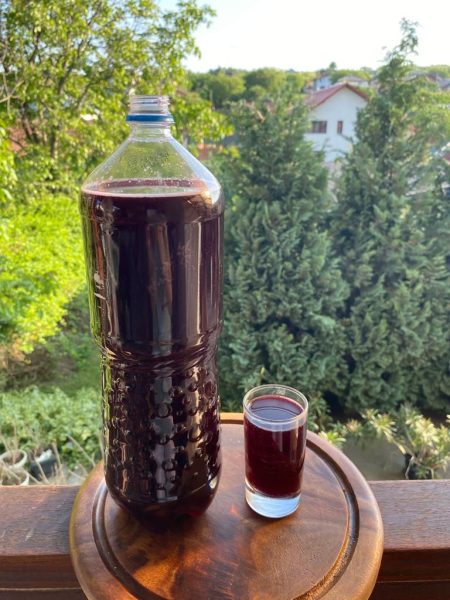 Vând vin roșu de casă soiul Moldova, 400 litri