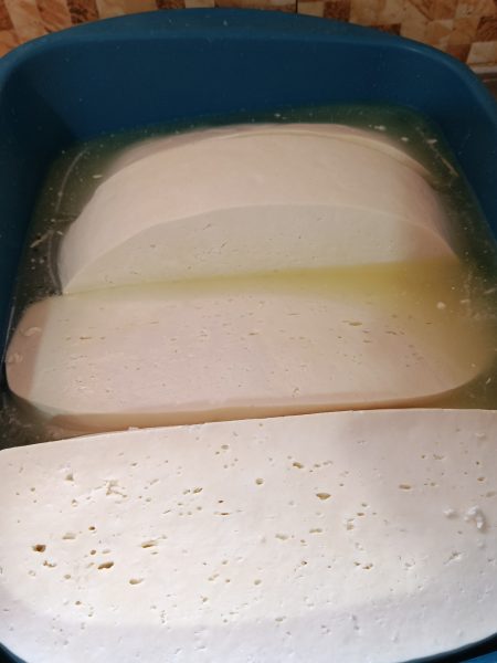 Brînză de oi