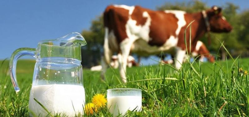 Vind produse lactate si oua de casa!