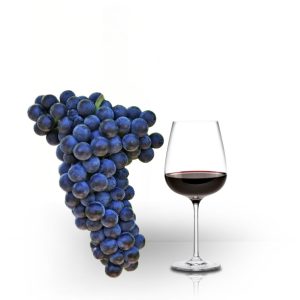 Vând vin din Fetească Neagră 100% natural