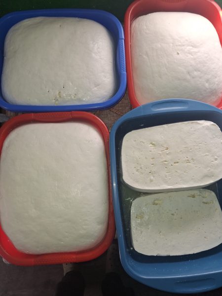 Cas si brinza de oi produs natural de casa