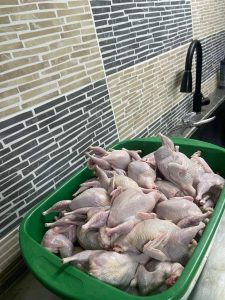 Prepelițe ,carne de prepeliță,prepeliță afimatu,ouă , pateu