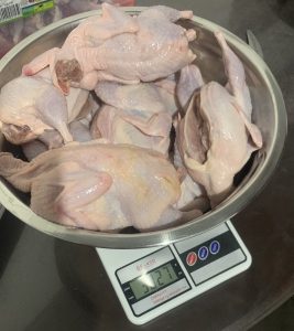 Vand Prepelițe vii și carcasă