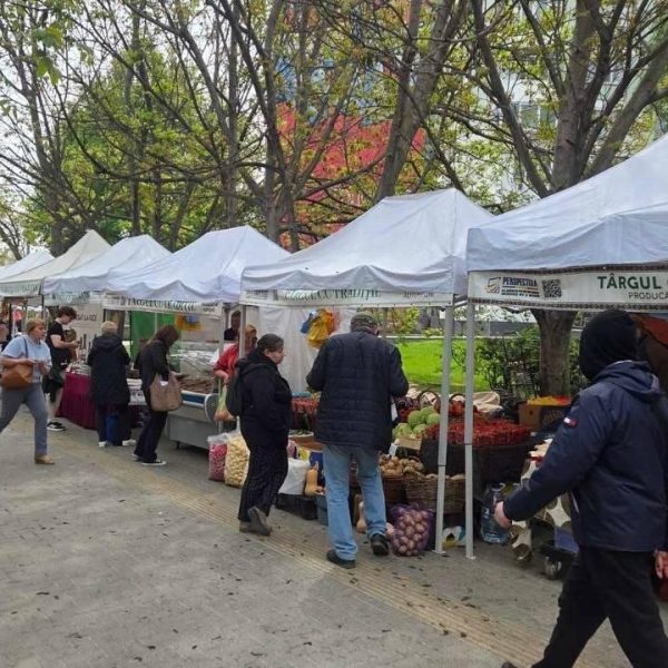 Târguri cu produse locale în Chișinău: unde poți merge în weekendul 16–17 mai