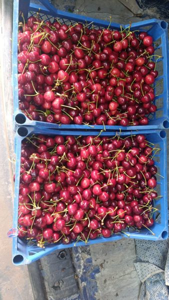 Vindem cireșe Cropnoplotnaia