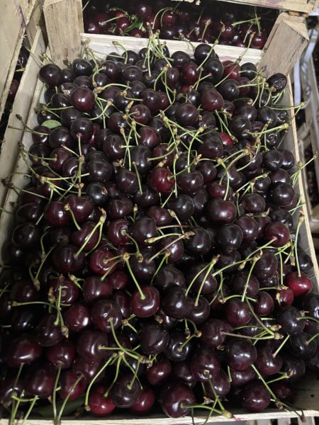 Vine Cirese