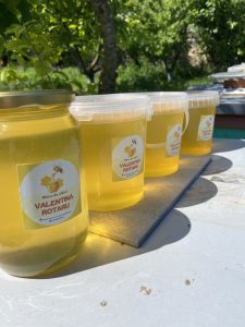 Miere naturală de salcâm
