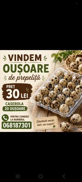 Vînzare