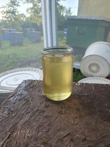 Продам мёд акации 2026!!!