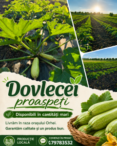 Cei mai proaspeti Dovlecei