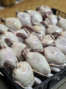 Carne de prepeliță