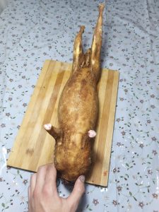 Carne proaspata de iepure cu cioric