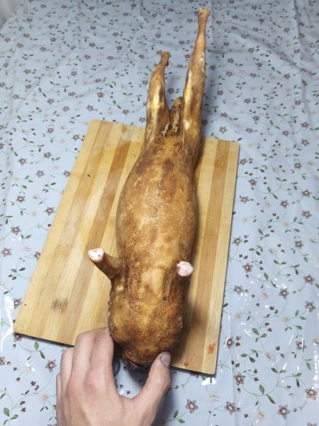 Carne proaspata de iepure cu cioric