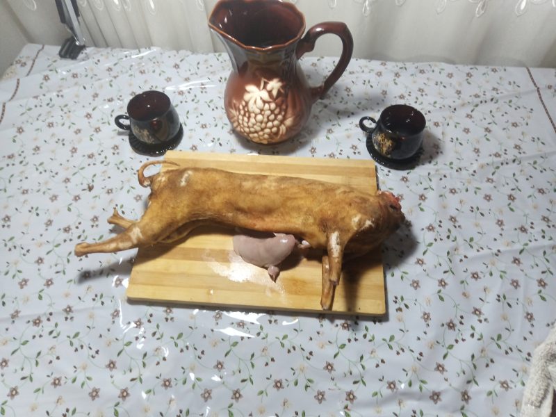 Carne proaspata de iepure cu cioric